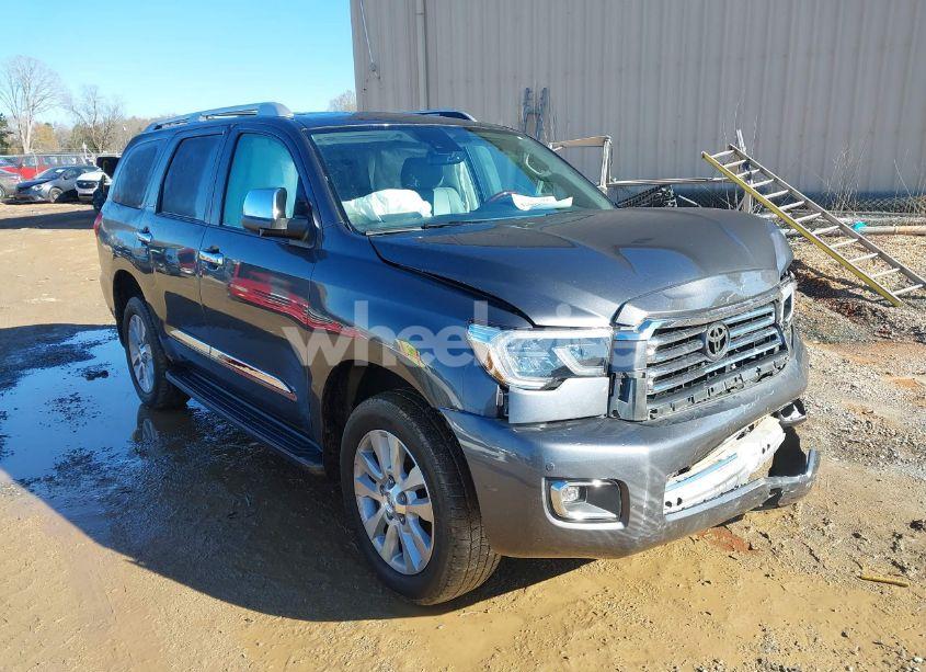 2019 Toyota Sequoia PLATINUM (VIN 5TDDY5G17KS167851) main photo
