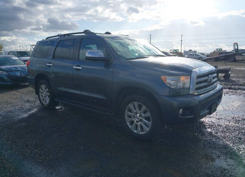2010 Toyota Sequoia PLATINUM 5.7L V8 (VIN 5TDDY5G18AS037916) main photo