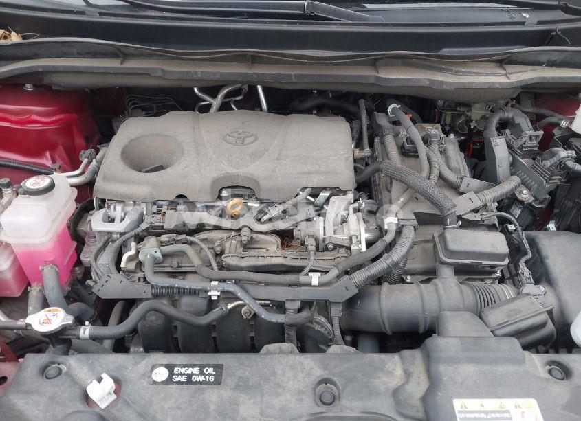 Photo 10 of 2021 Toyota Sienna PLATINUM (VIN 5TDERKEC9MS027243)