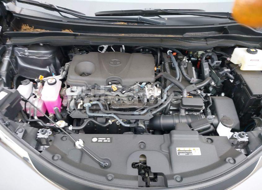 Photo 10 of 2025 Toyota Sienna XLE (VIN 5TDJRKEC3SS233492)