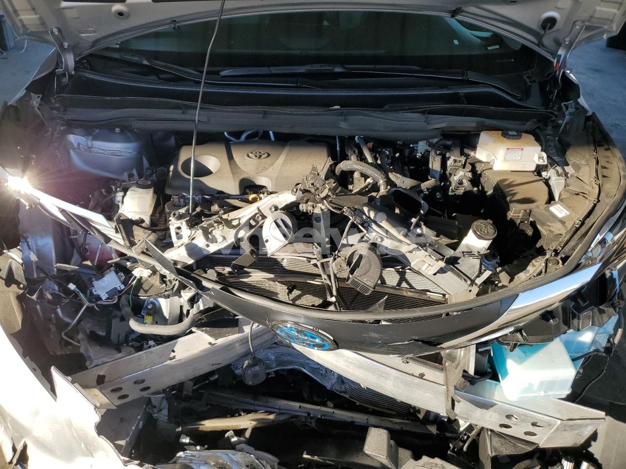 Photo 12 of 2024 TOYOTA SIENNA XLE (VIN 5TDJRKEC8RS222532)