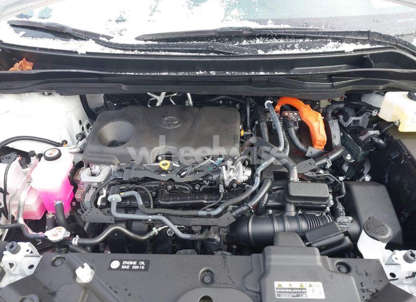 Photo 10 of 2024 Toyota Sienna XLE (VIN 5TDJSKFC0RS150440)