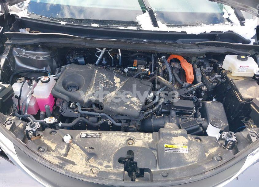 Photo 10 of 2024 Toyota Sienna XLE/WOODLAND EDITION (VIN 5TDJSKFC7RS116348)