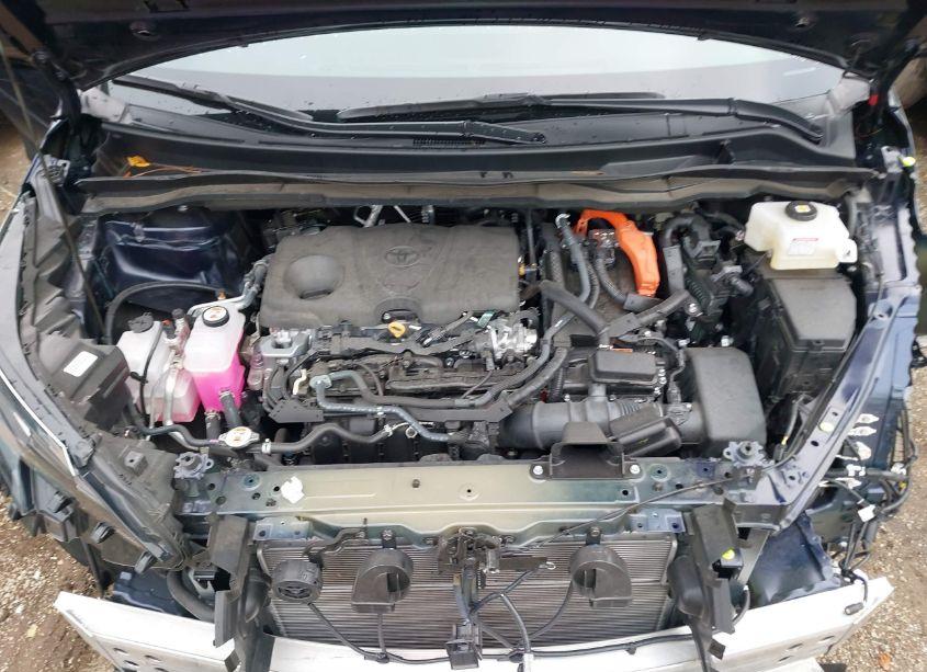 Photo 10 of 2024 Toyota Sienna XLE (VIN 5TDJSKFCXRS132351)