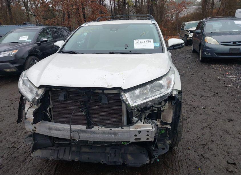 Photo 12 of 2019 Toyota Highlander XLE (VIN 5TDJZRFH5KS564982)