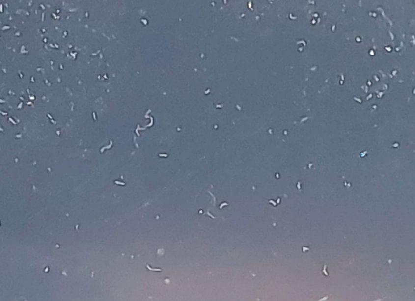 Photo 15 of 2019 Toyota Highlander XLE (VIN 5TDJZRFH9KS611740)