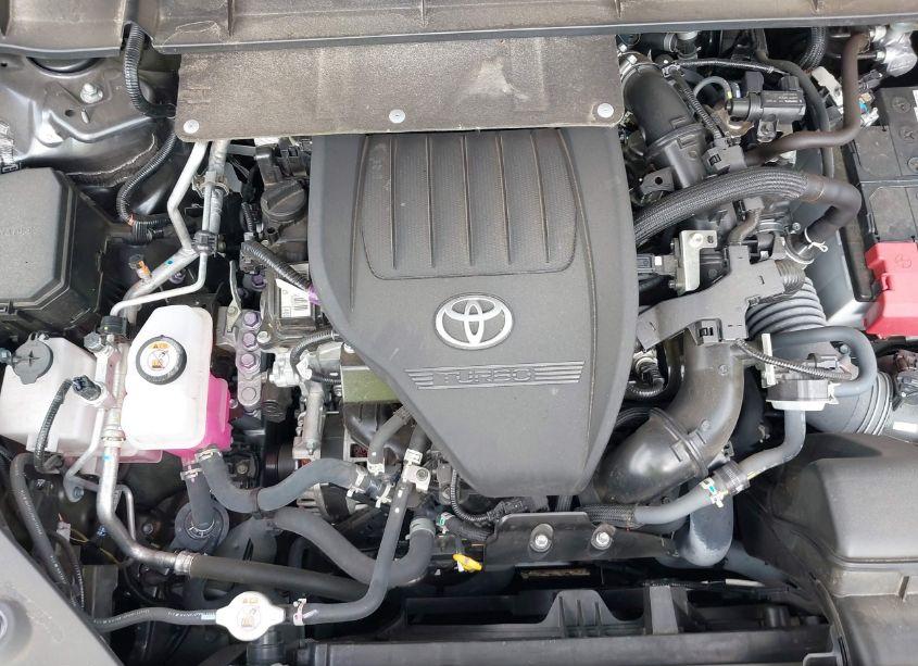 Photo 10 of 2023 Toyota Highlander XLE (VIN 5TDKDRAH2PS003754)