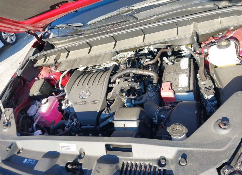Photo 10 of 2023 Toyota Highlander XLE (VIN 5TDKDRBH4PS041579)