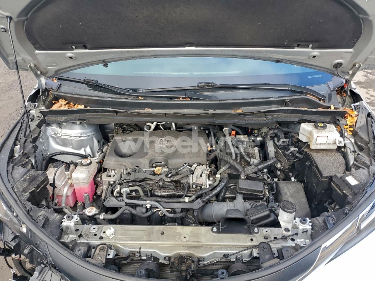 Photo 12 of 2021 TOYOTA SIENNA LE (VIN 5TDKRKEC3MS018640)