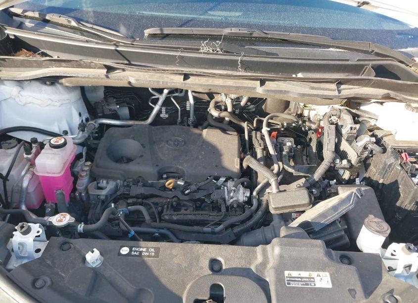 Photo 10 of 2024 Toyota Sienna LE (VIN 5TDKRKEC3RS184423)