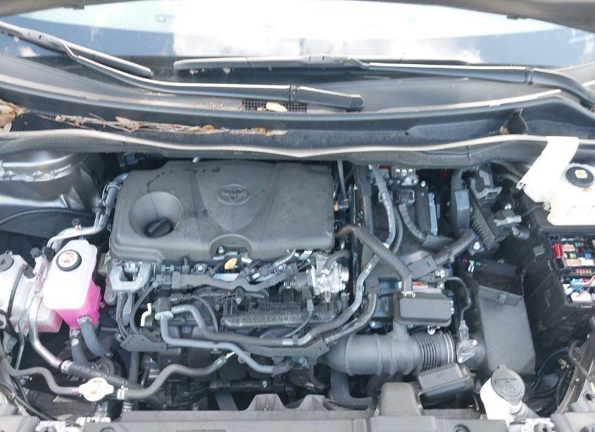 Photo 10 of 2024 Toyota Sienna LE (VIN 5TDKRKEC3RS187306)