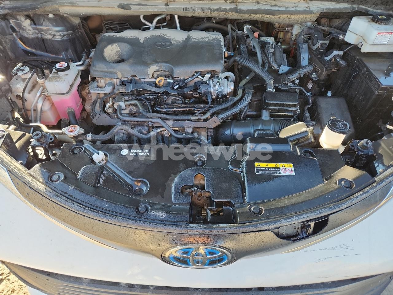 Photo 11 of 2023 TOYOTA SIENNA LE (VIN 5TDKRKEC4PS159267)