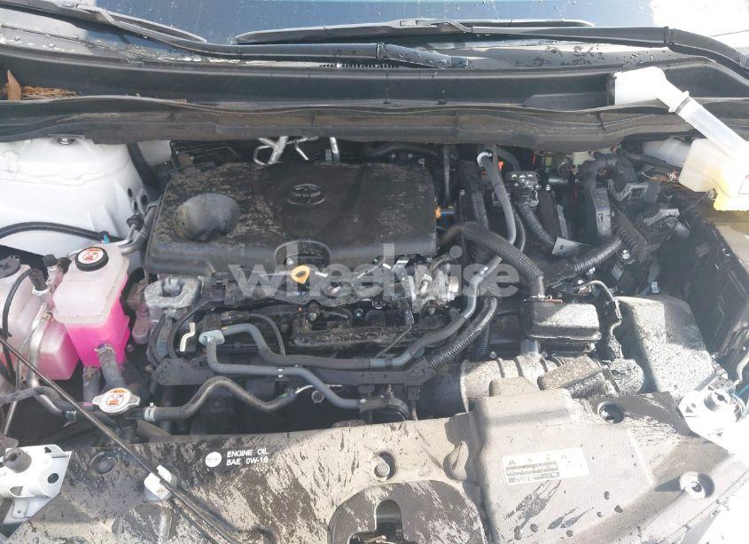 Photo 10 of 2024 Toyota Sienna LE (VIN 5TDKRKEC5RS196136)