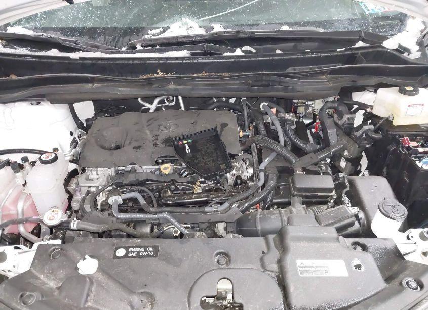 Photo 10 of 2023 Toyota Sienna LE (VIN 5TDKRKEC6PS166558)