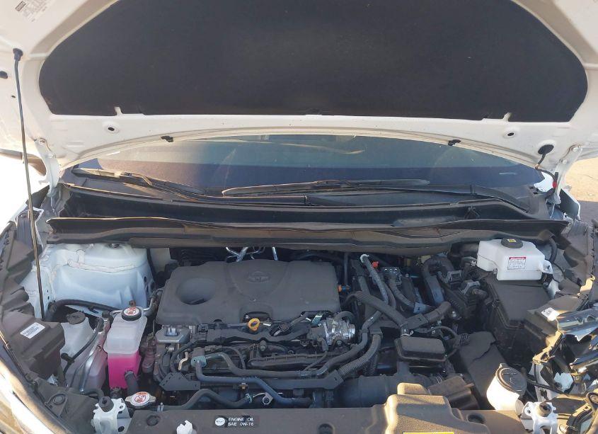 Photo 10 of 2024 Toyota Sienna LE (VIN 5TDKRKEC7RS198924)