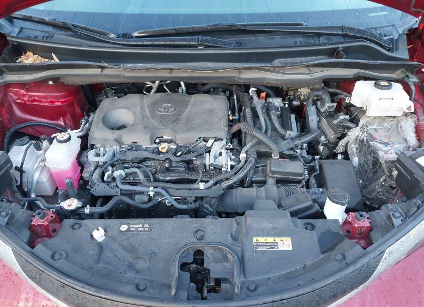 Photo 10 of 2021 Toyota Sienna LE (VIN 5TDKRKEC9MS043252)