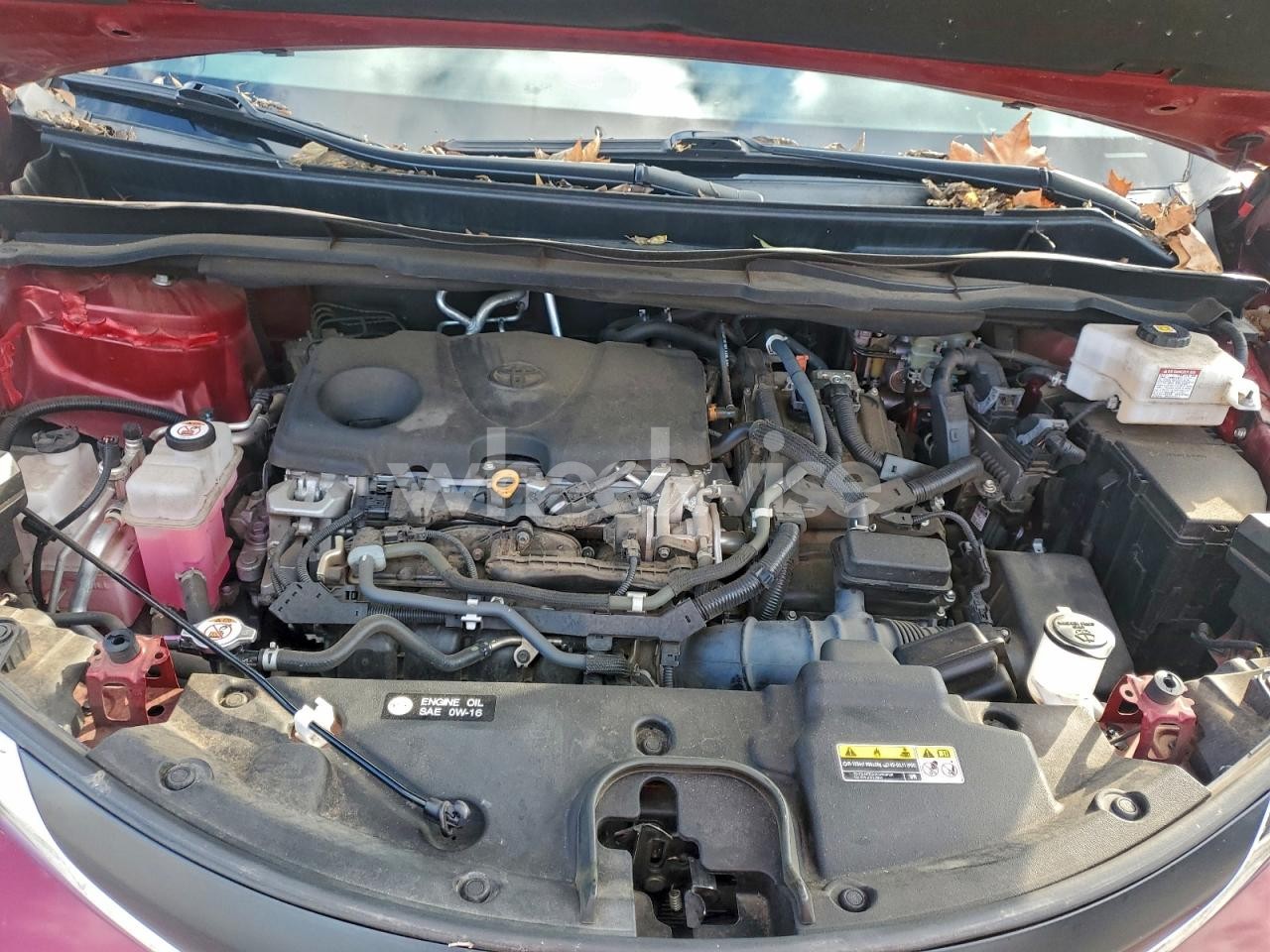 Photo 12 of 2021 TOYOTA SIENNA LE (VIN 5TDKRKEC9MS049424)