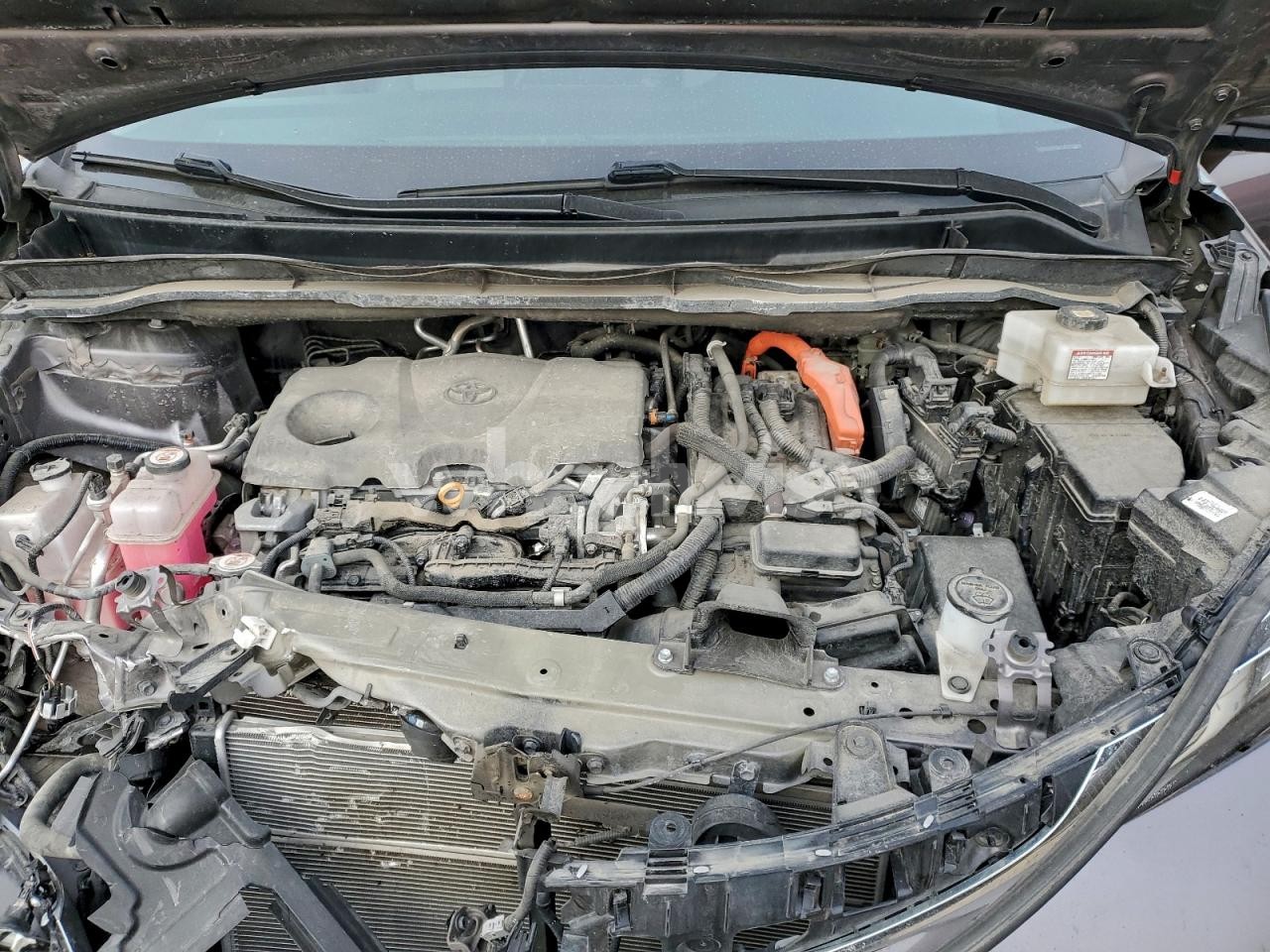 Photo 12 of 2021 TOYOTA SIENNA LE (VIN 5TDKSKFC4MS028533)