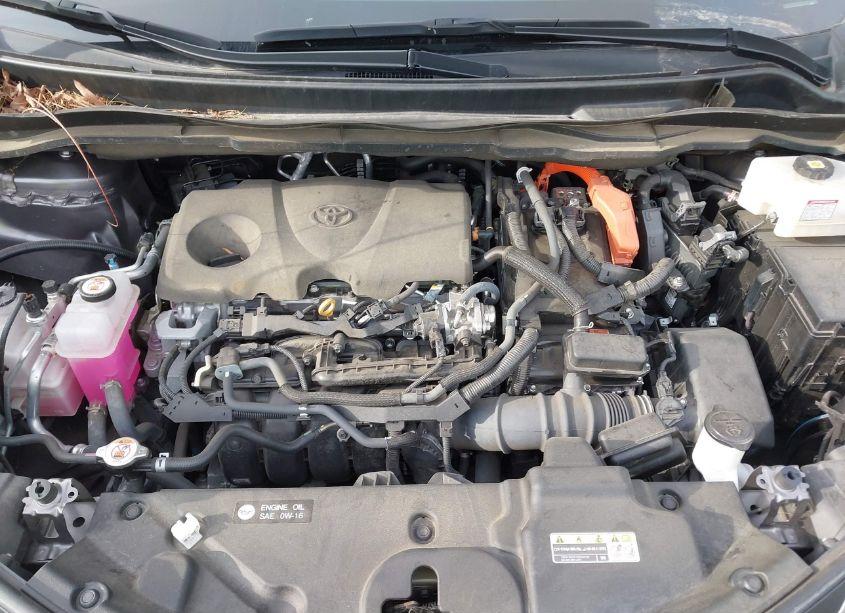 Photo 10 of 2023 Toyota Sienna LE (VIN 5TDKSKFC8PS077495)