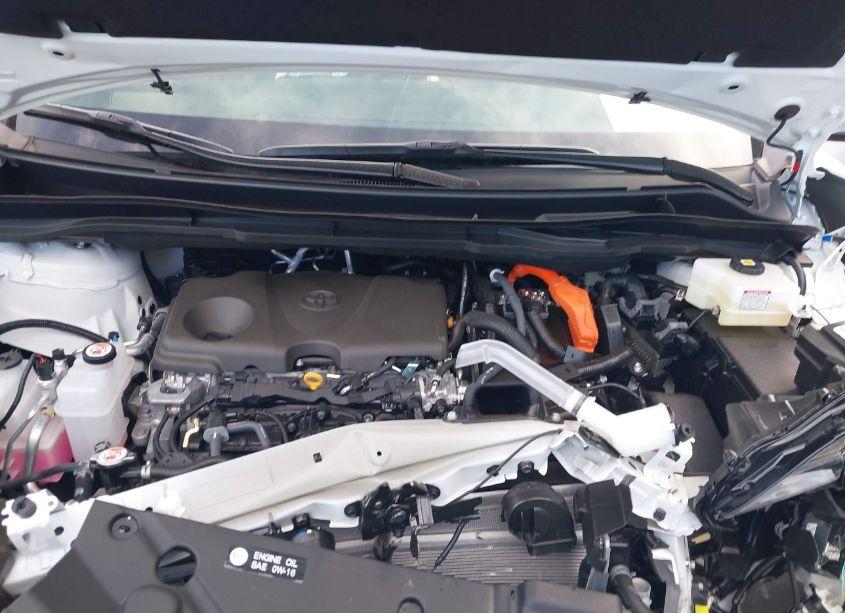 Photo 10 of 2024 Toyota Sienna LE (VIN 5TDKSKFC9RS145533)