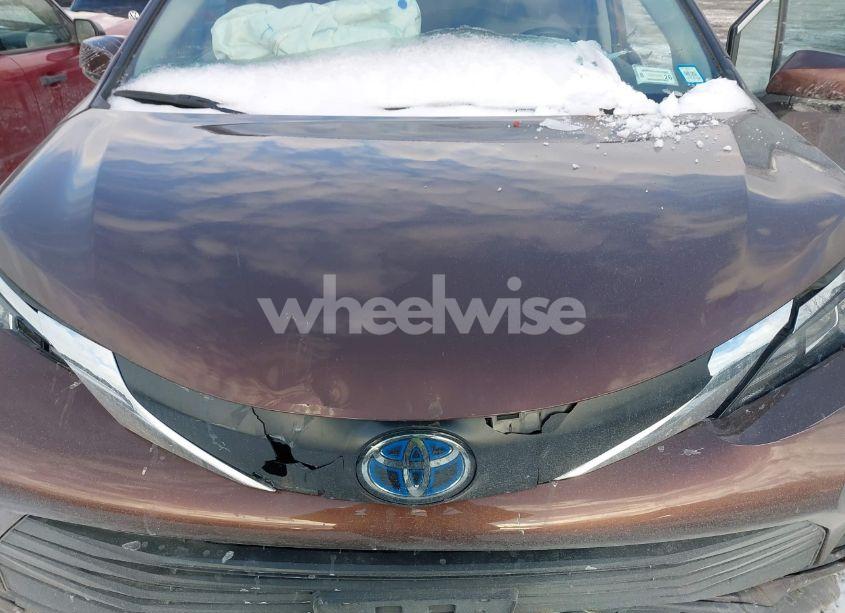 Photo 10 of 2023 Toyota Sienna LE (VIN 5TDKSKFCXPS079264)