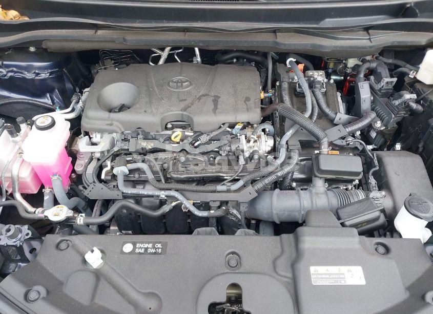 Photo 10 of 2023 Toyota Sienna XSE (VIN 5TDXRKEC5PS170431)