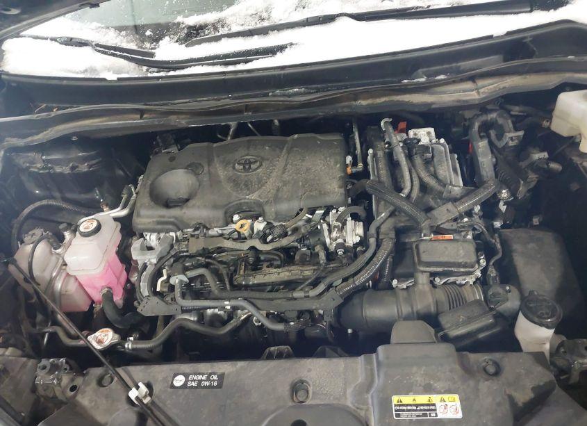 Photo 10 of 2024 Toyota Sienna XLE (VIN 5TDYRKEC3RS186814)