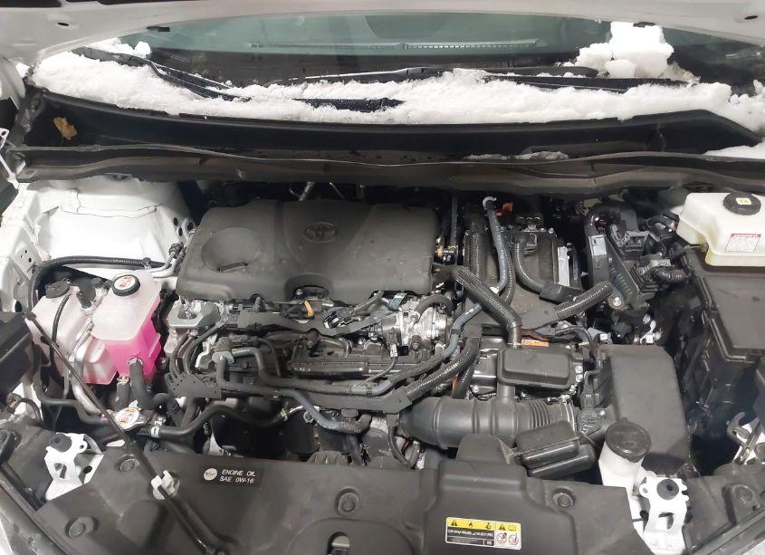 Photo 10 of 2024 Toyota Sienna XLE (VIN 5TDYRKEC7RS209642)