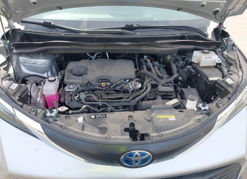 Photo 10 of 2024 Toyota Sienna XLE (VIN 5TDYRKEC8RS193614)