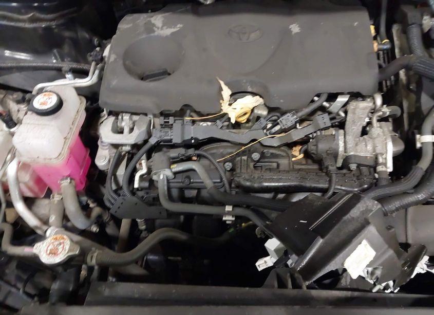 Photo 10 of 2021 Toyota Sienna XLE (VIN 5TDYRKECXMS024302)