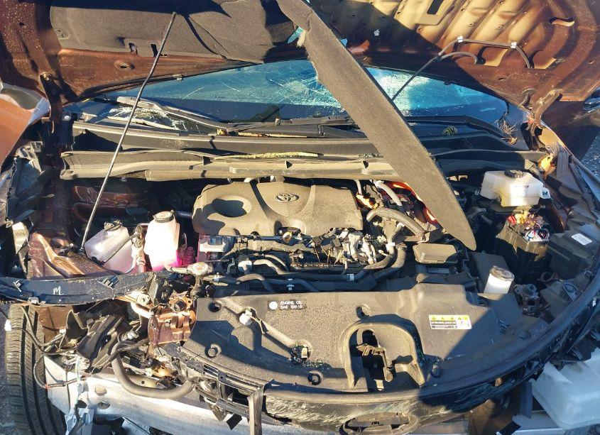 Photo 10 of 2021 Toyota Sienna XLE (VIN 5TDYSKFCXMS036212)