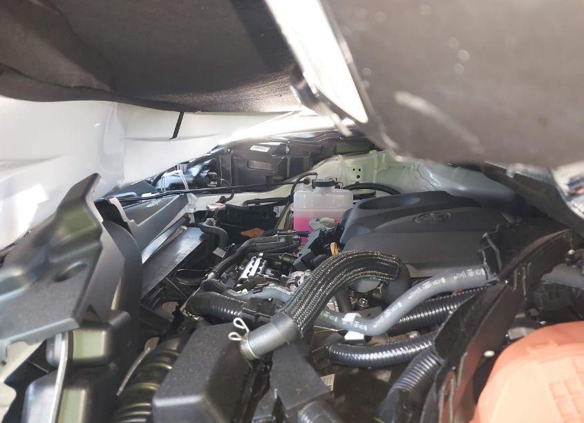 Photo 10 of 2024 Toyota Sienna LIMITED (VIN 5TDZSKFC0RS152806)