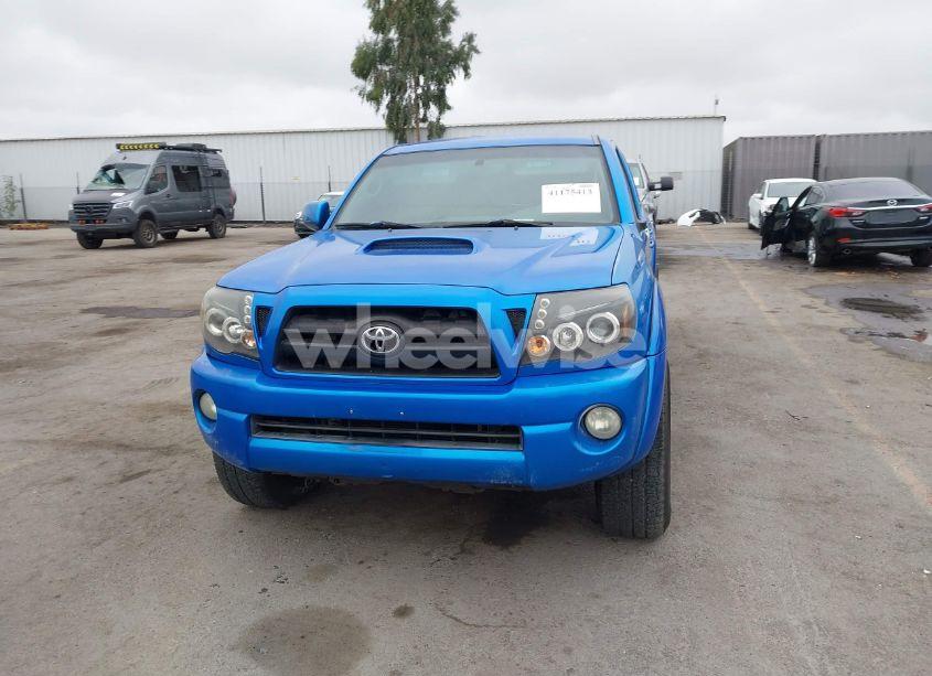 Photo 13 of 2006 Toyota Tacoma DBL CAB PRERUNNER LNG BED (VIN 5TEKU72N46Z243348)
