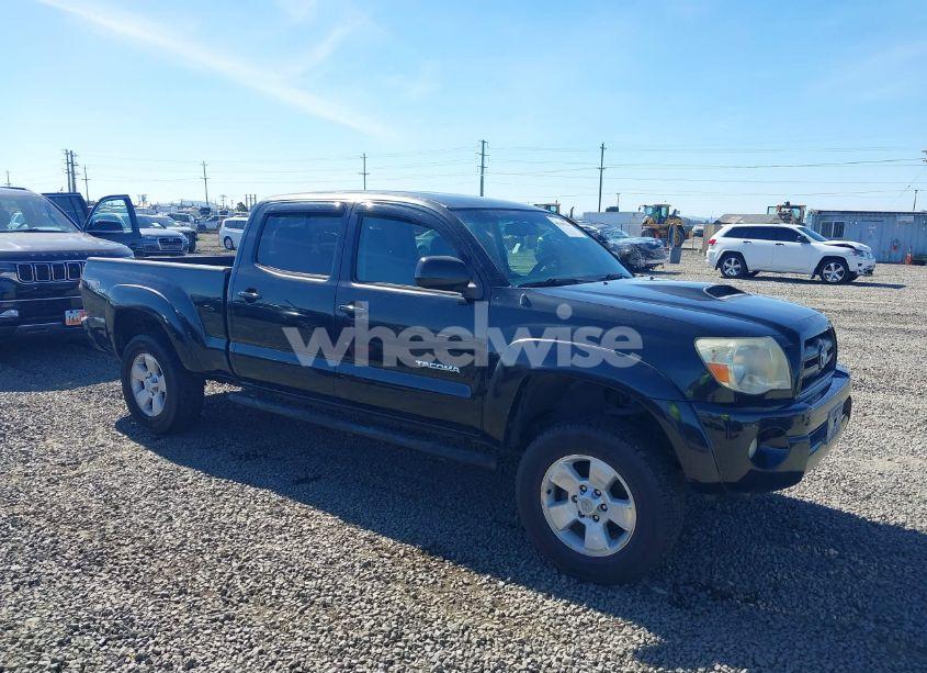 2007 Toyota Tacoma PRERUNNER V6 (VIN 5TEKU72NX7Z463157) main photo