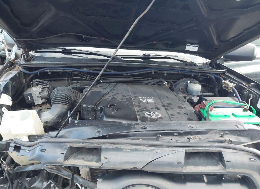 Photo 10 of 2006 Toyota Tacoma BASE V6 (VIN 5TELU42N16Z305016)