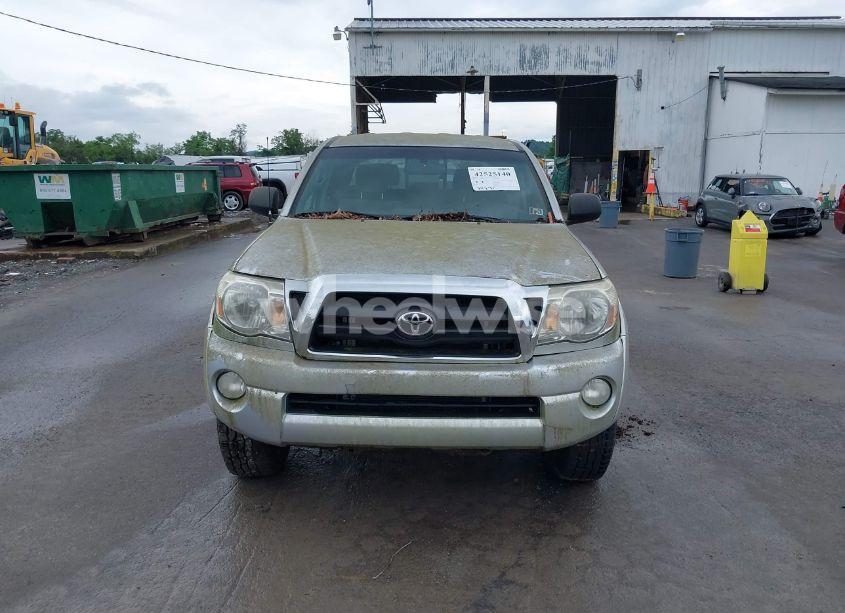 Photo 12 of 2008 Toyota Tacoma BASE V6 (VIN 5TELU42N18Z538316)