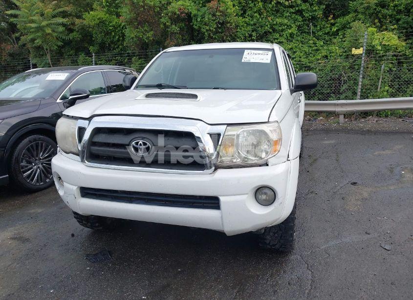 Photo 12 of 2008 Toyota Tacoma BASE V6 (VIN 5TELU42N18Z552359)