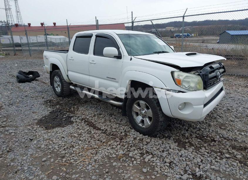 2008 Toyota Tacoma BASE V6 (VIN 5TELU42N28Z513294) main photo