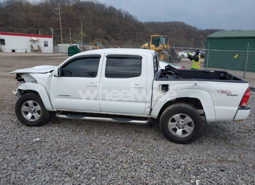 Photo 15 of 2008 Toyota Tacoma BASE V6 (VIN 5TELU42N28Z513294)
