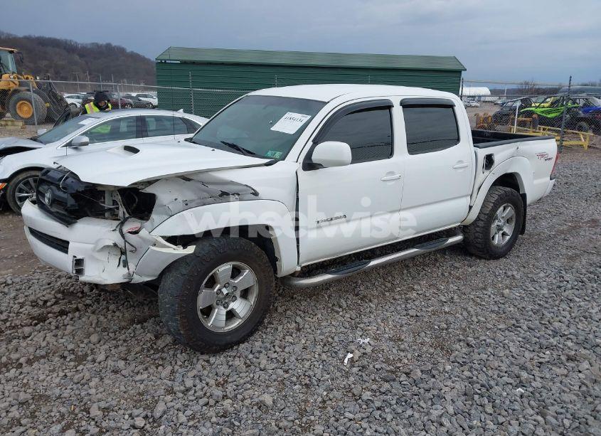 Photo 2 of 2008 Toyota Tacoma BASE V6 (VIN 5TELU42N28Z513294)