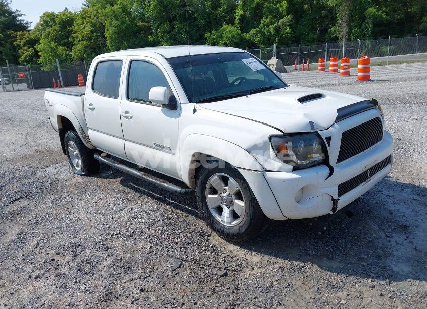 2007 Toyota Tacoma BASE V6 (VIN 5TELU42N37Z379099) main photo