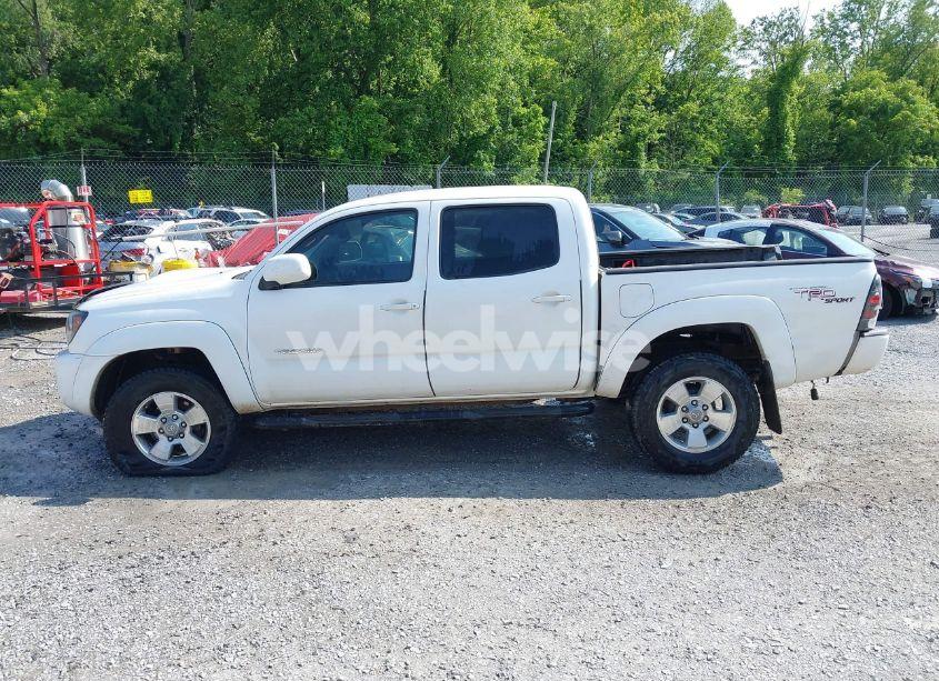 Photo 14 of 2007 Toyota Tacoma BASE V6 (VIN 5TELU42N37Z379099)
