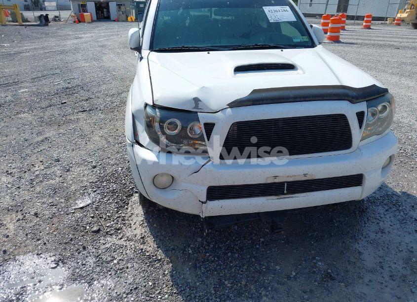 Photo 6 of 2007 Toyota Tacoma BASE V6 (VIN 5TELU42N37Z379099)