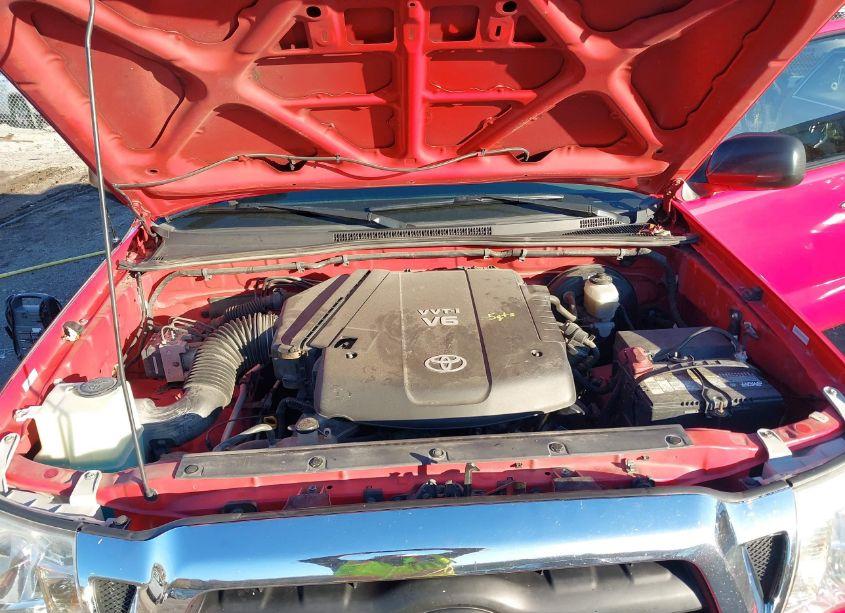 Photo 10 of 2005 Toyota Tacoma BASE V6 (VIN 5TELU42N65Z037790)