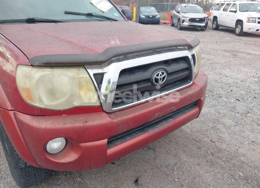 Photo 6 of 2005 Toyota Tacoma DOUBLE CAB (VIN 5TELU42N65Z091302)