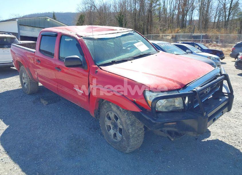 Photo 6 of 2006 Toyota Tacoma BASE V6 (VIN 5TEMU52N36Z207034)