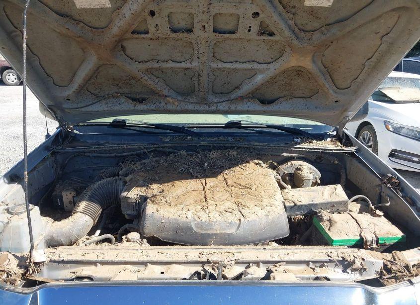 Photo 10 of 2006 Toyota Tacoma BASE V6 (VIN 5TEMU52N56Z257305)
