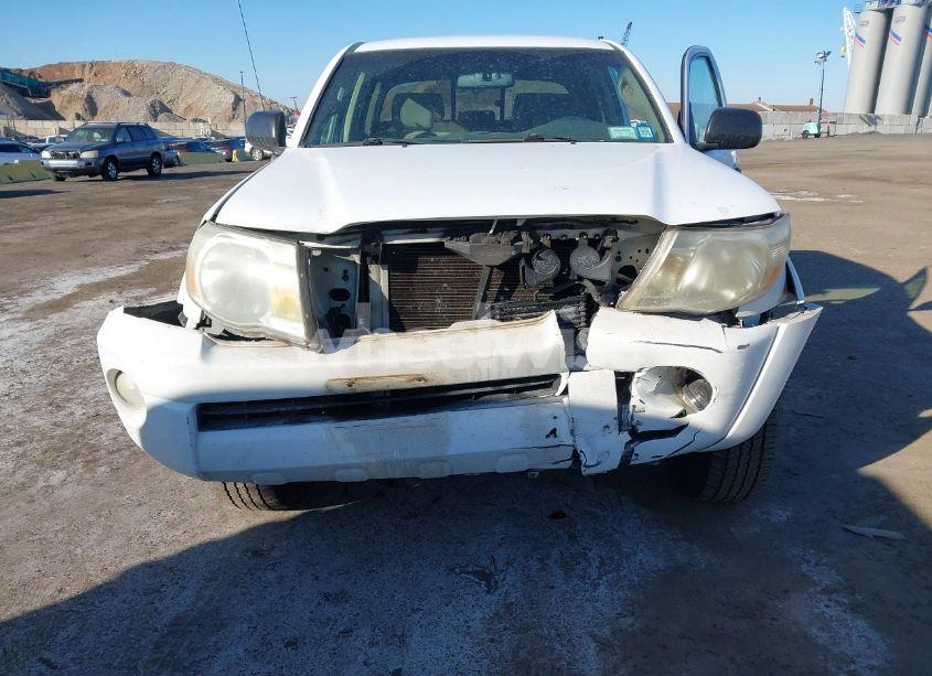 Photo 6 of 2007 Toyota Tacoma BASE V6 (VIN 5TEMU52N57Z430886)
