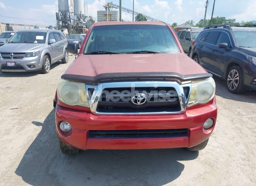 Photo 12 of 2005 Toyota Tacoma BASE V6 (VIN 5TEMU52N85Z032729)