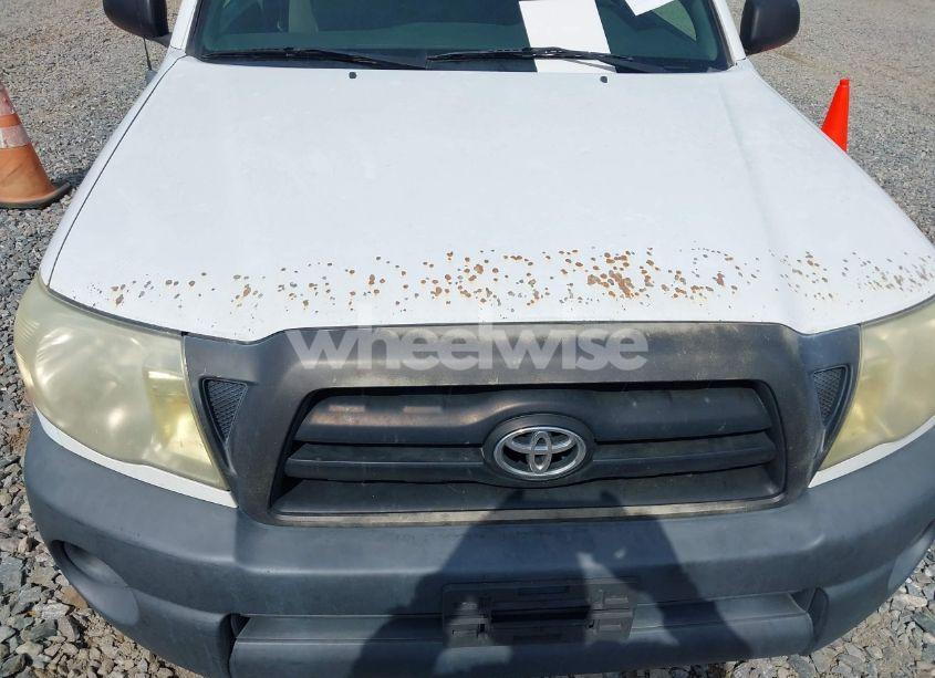 Photo 13 of 2006 Toyota Tacoma (VIN 5TENX22N06Z316111)